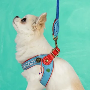 Dutchie Hondentuigje Maat 3 (31,5-35,5 cm)