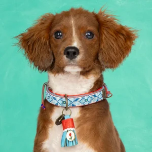 Dutchie Hondenhalsband XS (Halsomvang 25-29 cm / 2 cm)