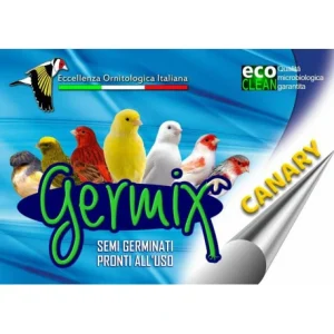 Germix Canary Muta