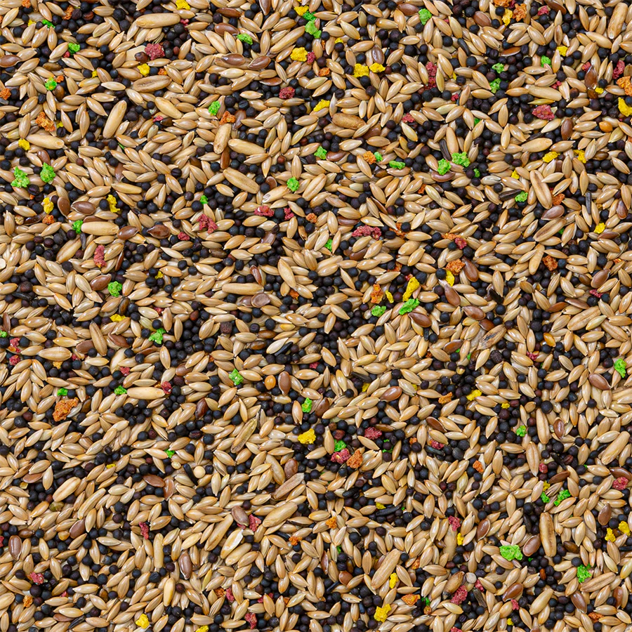 Deli Nature 77 - Kanaries Colormix - Afbeelding 3