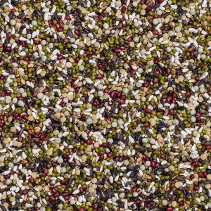 Deli Nature 63 - Kiemzaad Wildzang & Parkieten