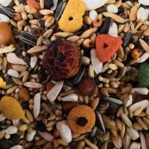 OBIE 8 Papegaai met pellets