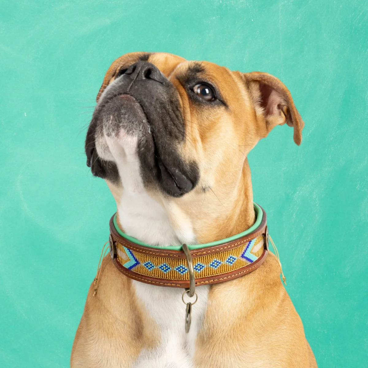 Beads Indi Moon Hondenhalsband XL (Halsomvang 48-57 cm / 4 cm) - Afbeelding 2