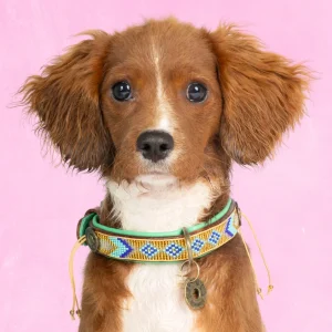 Beads Indi Moon Hondenhalsband XS (Halsomvang 25-29 cm / 2 cm)