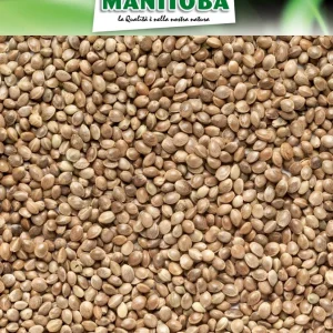 Kempzaad 1kg - Manitoba