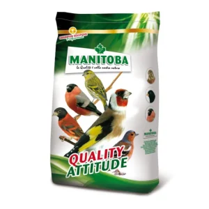 Manitoba American Redbird - kardinalenvoer