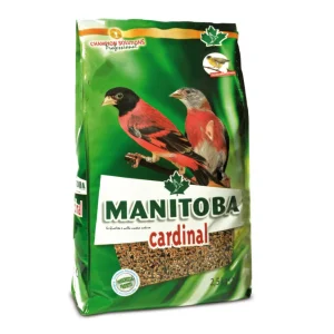 Manitoba Cardinal - kapoetsensijzen / Siskin