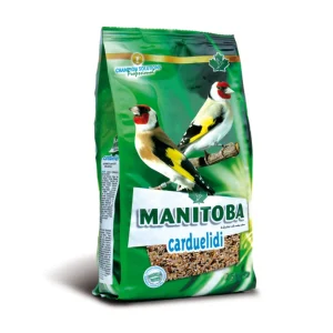 Manitoba Carduelidi - distelvinken light