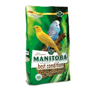 Manitoba Conditiezaad 2.5 kg