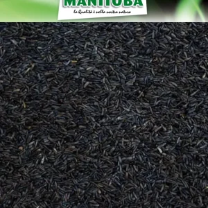 Niger zaad 1kg - Manitoba