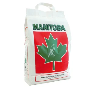 Manitoba T3 kanarie platino - met extra perilla