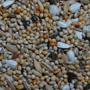 OBIE 3 Agapornidezaad super