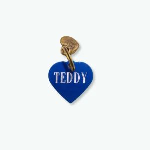 Penning Blauw Hartje S