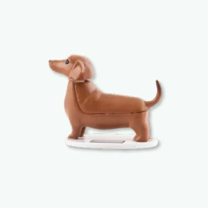 Solar Teckel Boudewijn