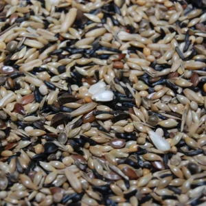 OBIE 15.1 Wildzangzaad